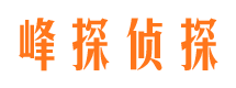 兰山婚姻外遇取证